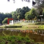 Foto 48