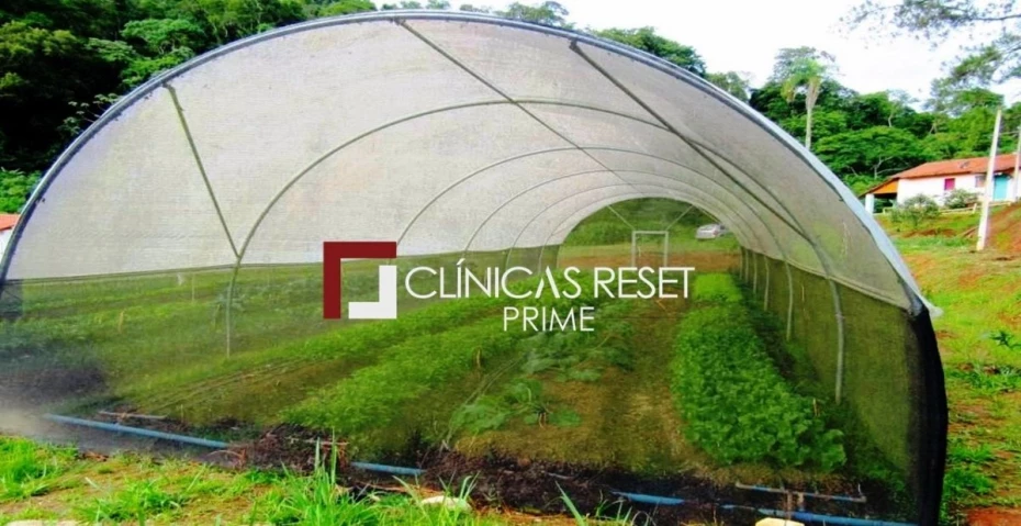 Foto 62: www.clinicasresetprime.com.br — Clínicas Reset Prime Reabilitação em Dependência Química Alcoolismo e Psiquiatria