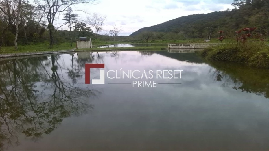 Foto 162:  — Clínicas Reset Prime Reabilitação em Dependência Química Alcoolismo e Psiquiatria